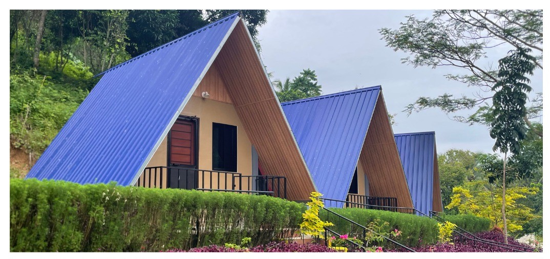 Cabin Rooms