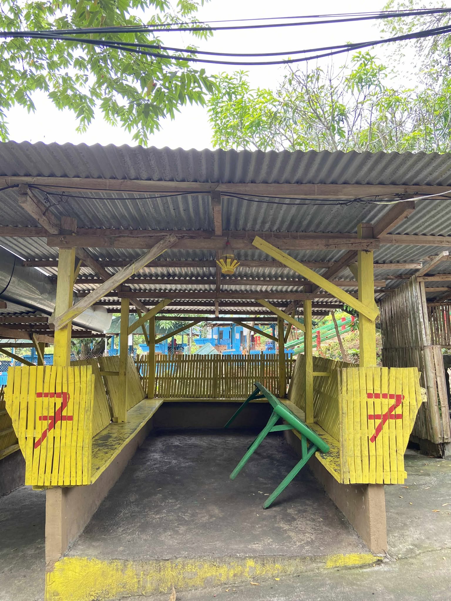 Yellow Cottage